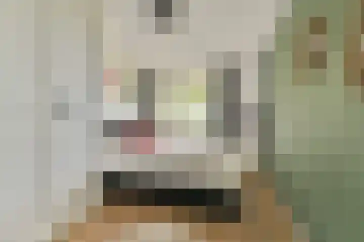 Heuvellaan 37 Gouda thumbnail 23