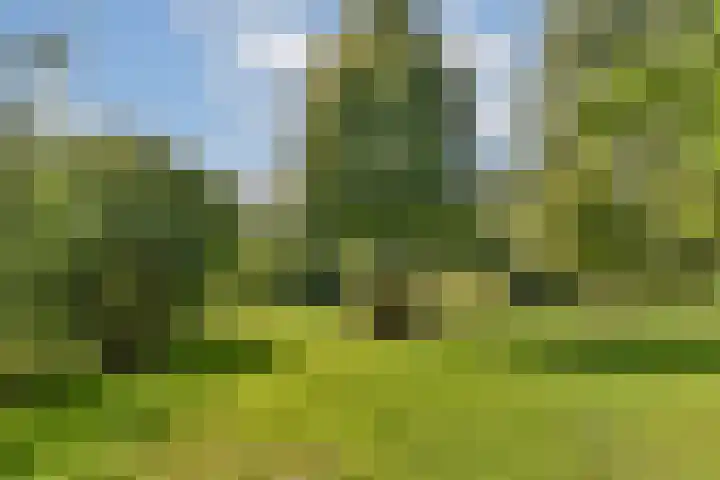 Heuvellaan 37 Gouda thumbnail 33