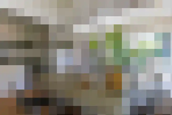 Heuvellaan 4 Bussum thumbnail 23