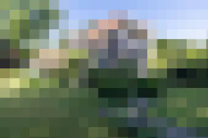 Heuvellaan 4 Bussum thumbnail 48