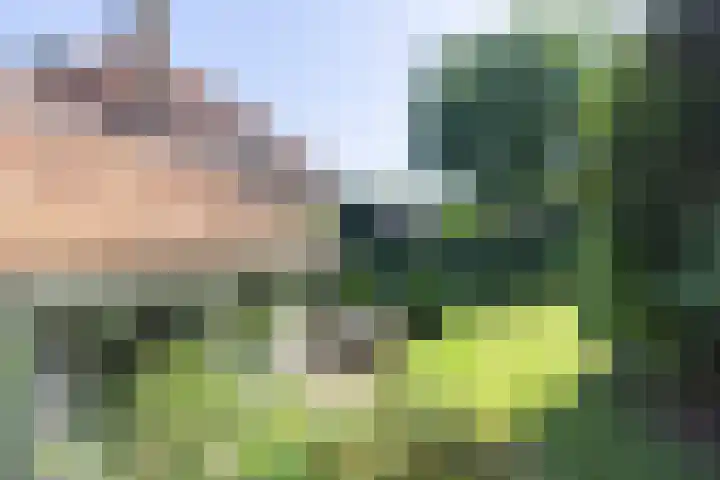 Heuvellaan 4 Bussum thumbnail 50