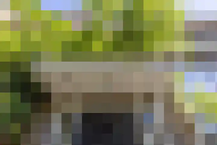 Heuvellaan 4 Bussum thumbnail 51