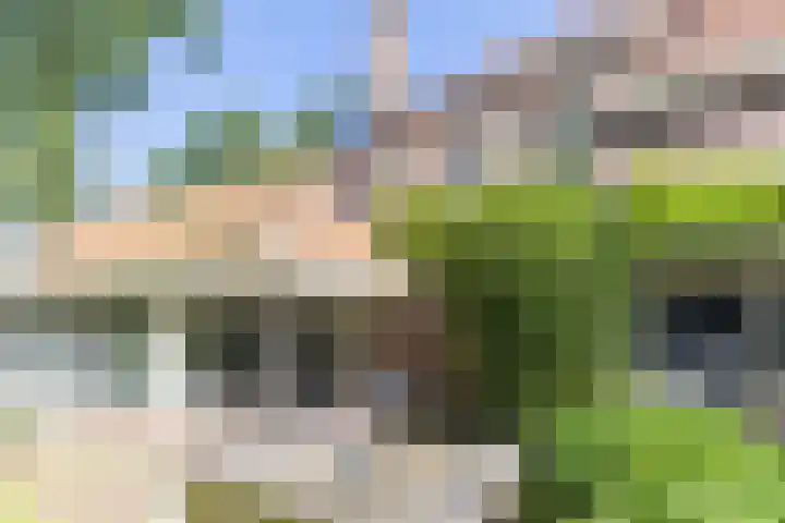 Heuvellaan 4 Bussum thumbnail 53