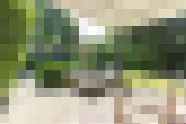 Heuvellaan 4 Bussum thumbnail 57