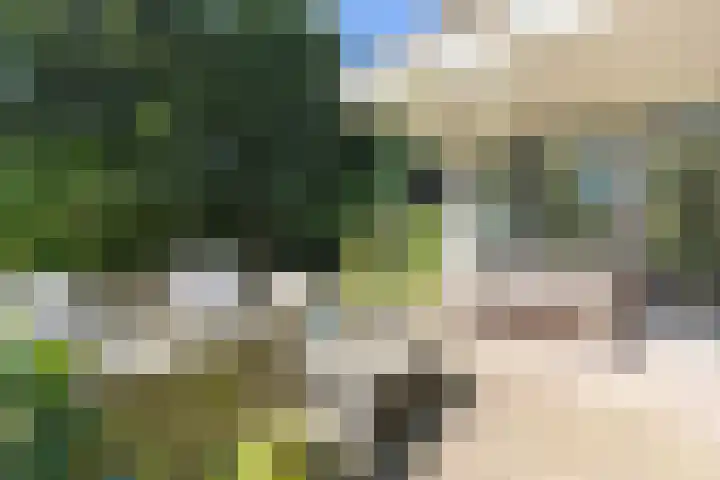 Heuvellaan 4 Bussum thumbnail 58