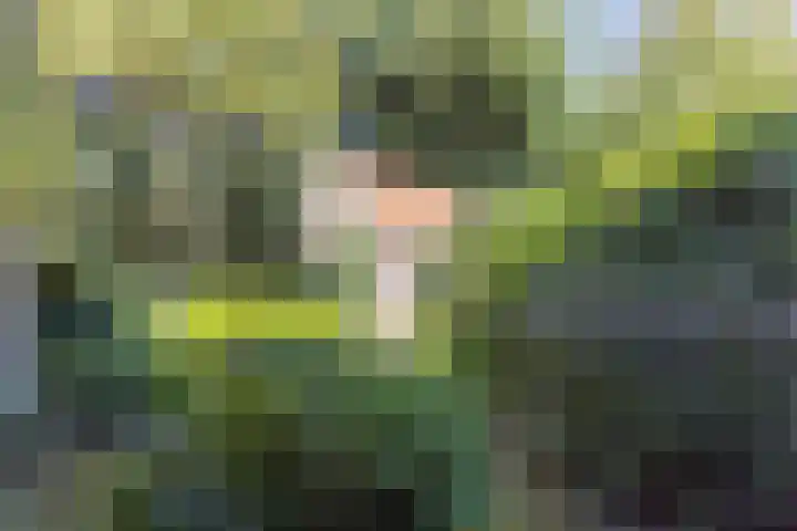 Heuvellaan 4 Bussum thumbnail 59