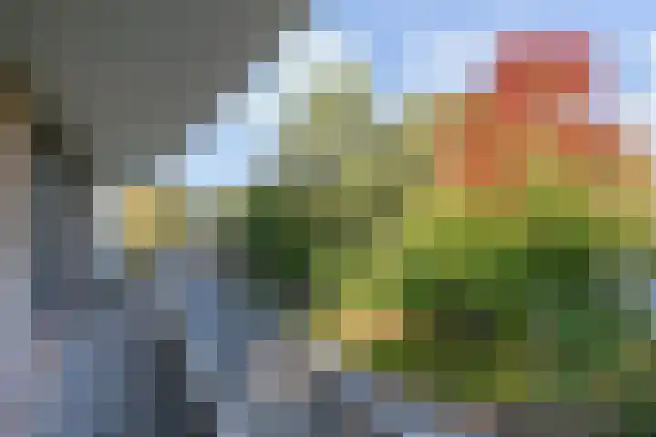Heuvellaan 43 Gouda thumbnail 23