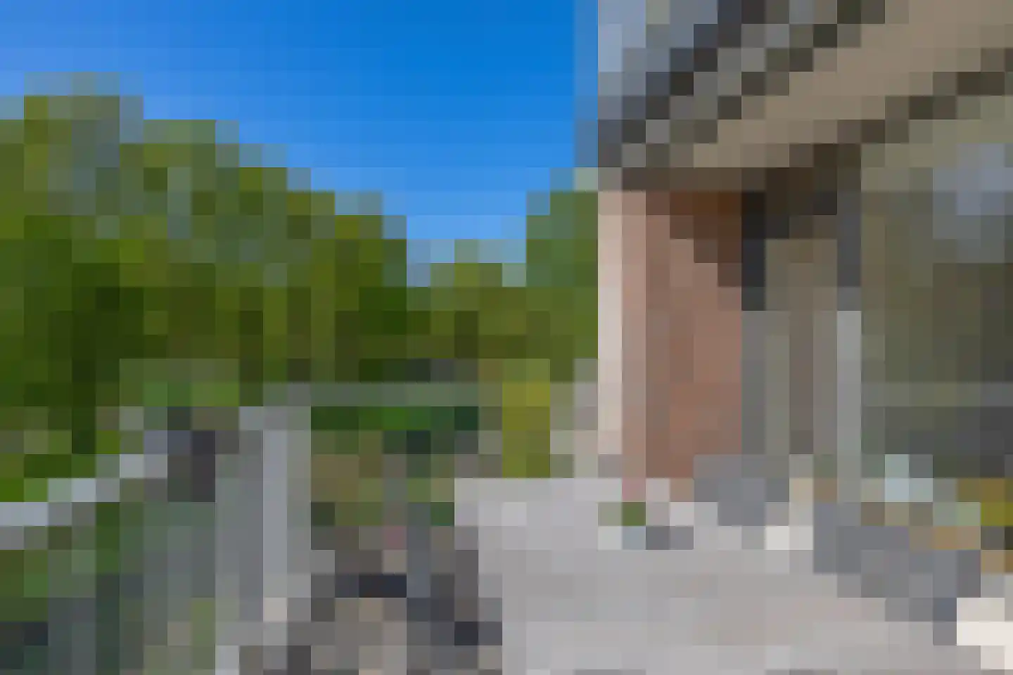 Heuvellaan 62 Gouda thumbnail 18