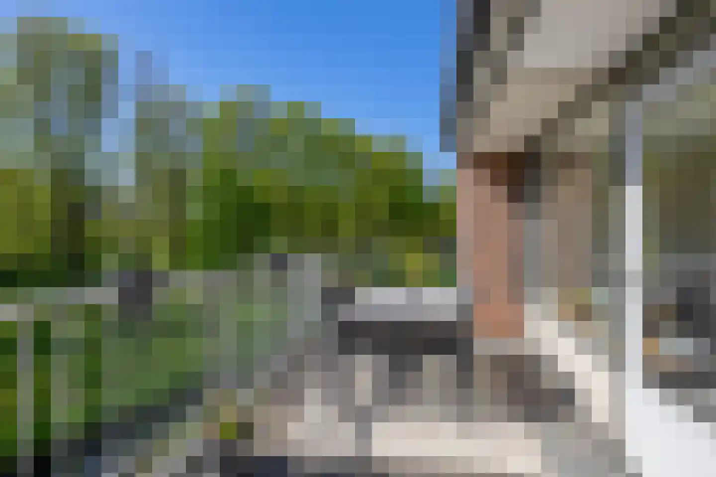 Heuvellaan 62 Gouda thumbnail 4