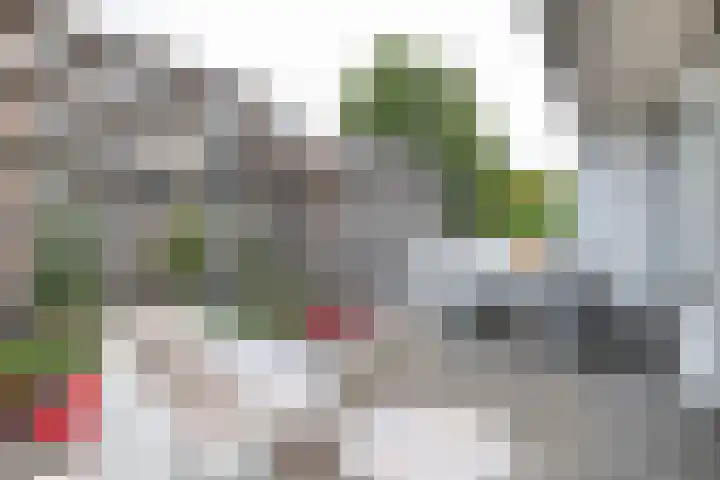 Heuvellaan 75 Gouda thumbnail 23