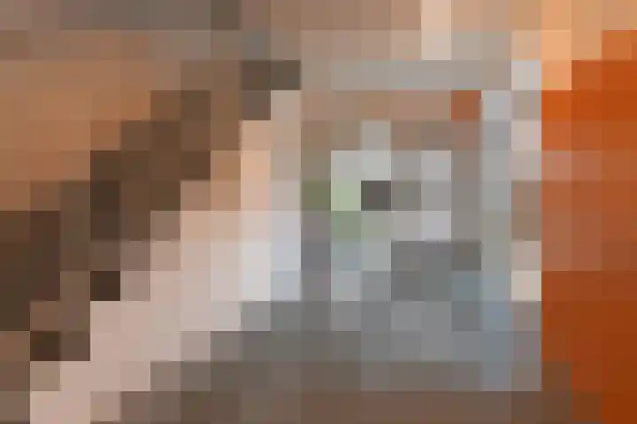 Heuvellaan 76 Gouda thumbnail 5