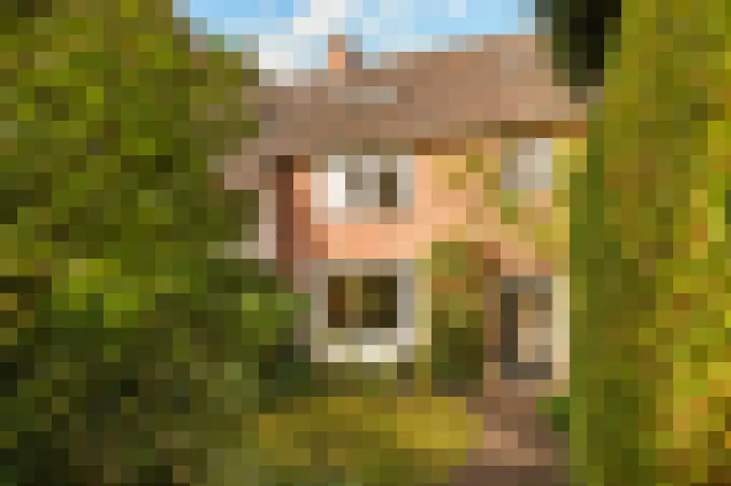 Heuvellaan 8 A in Bussum