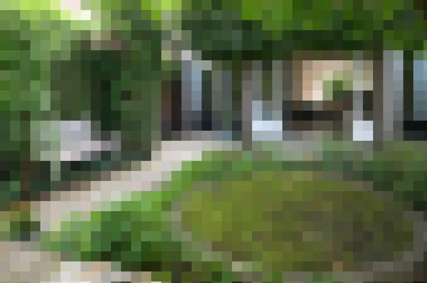 Heuvellaan 8 A Bussum thumbnail 24
