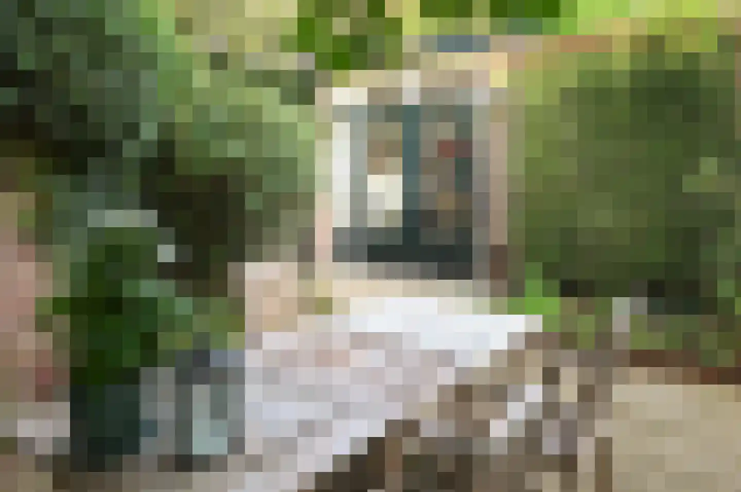 Heuvellaan 8 A Bussum thumbnail 25