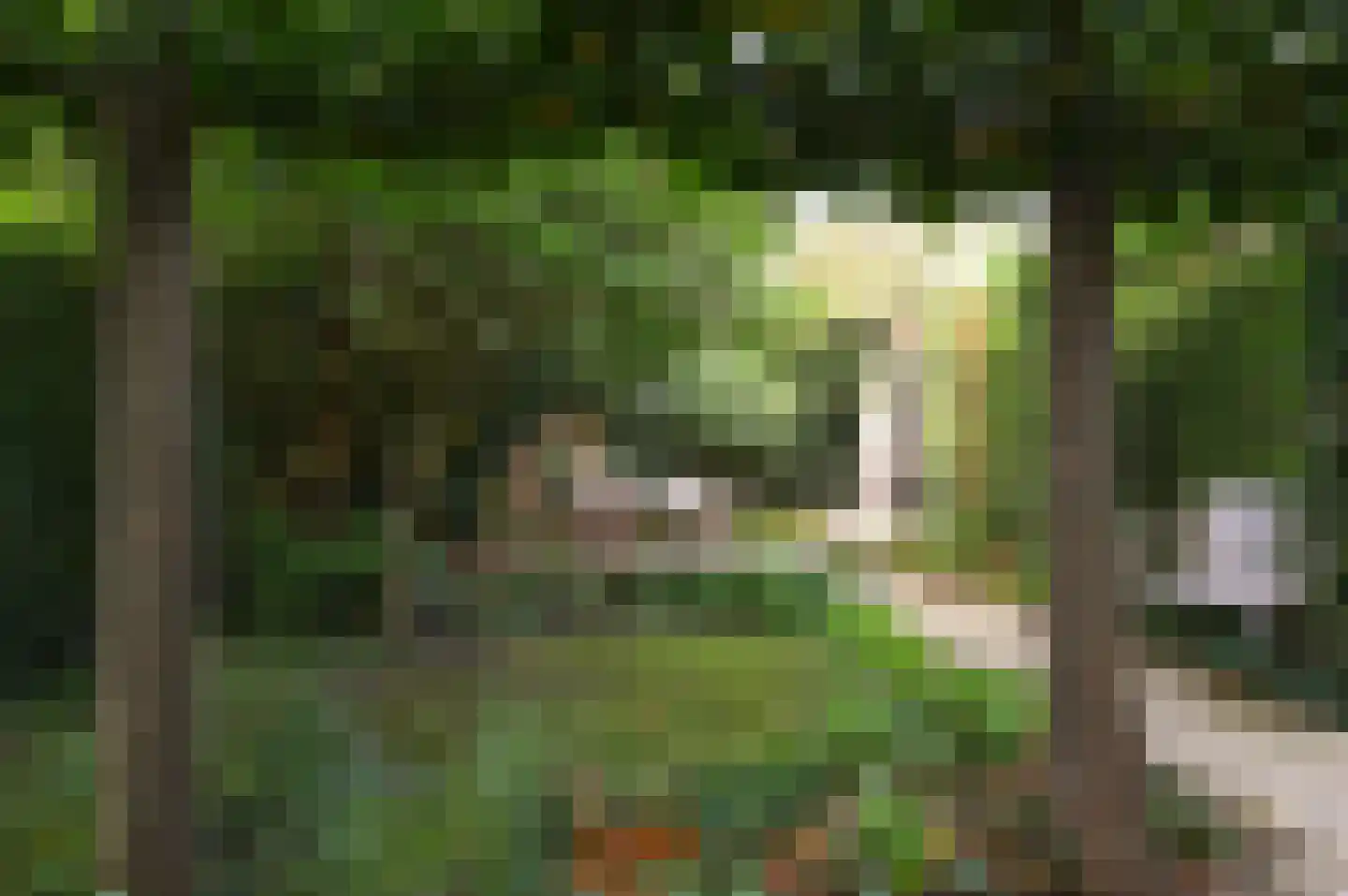 Heuvellaan 8 A Bussum thumbnail 26