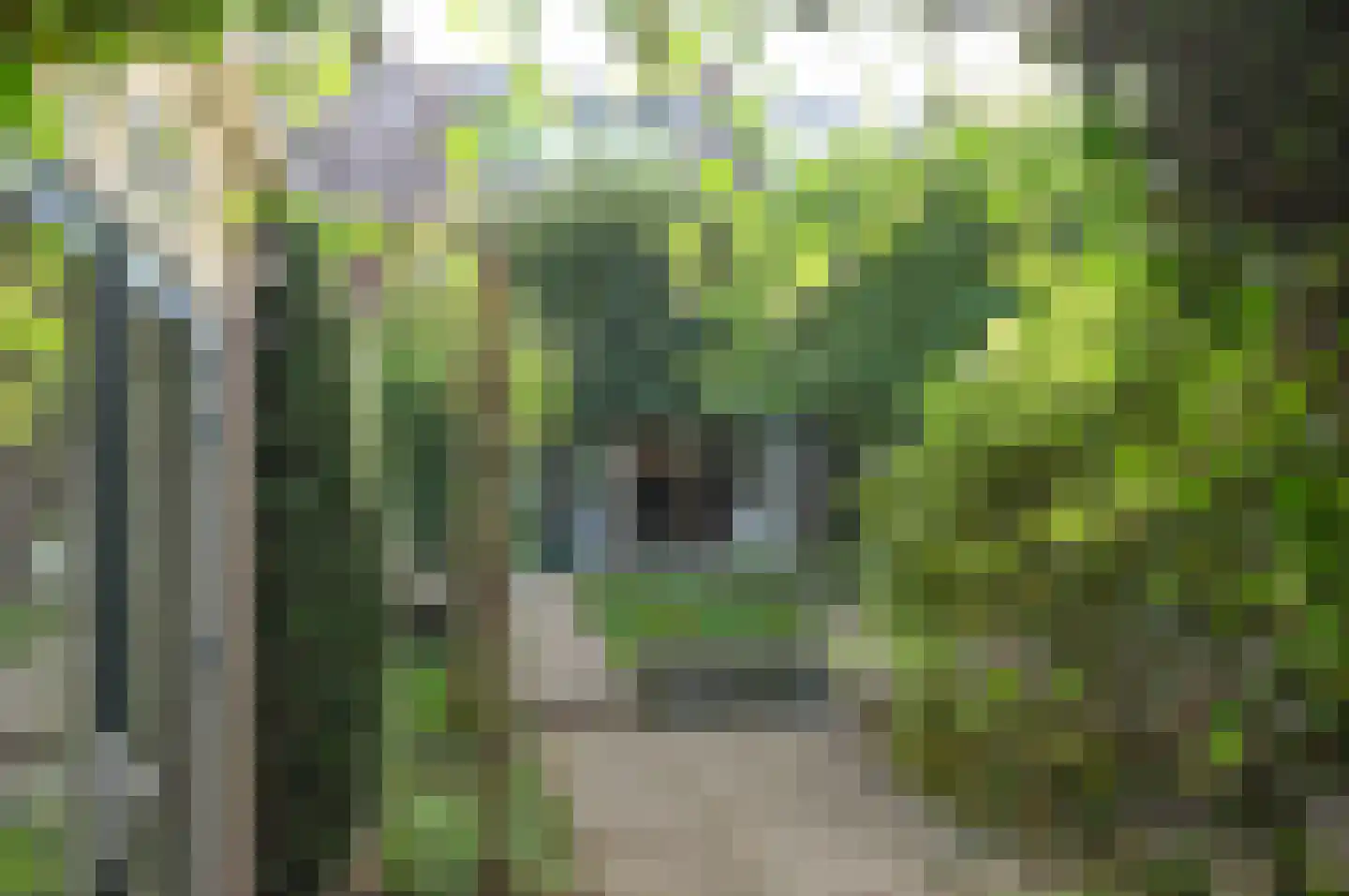 Heuvellaan 8 A Bussum thumbnail 27