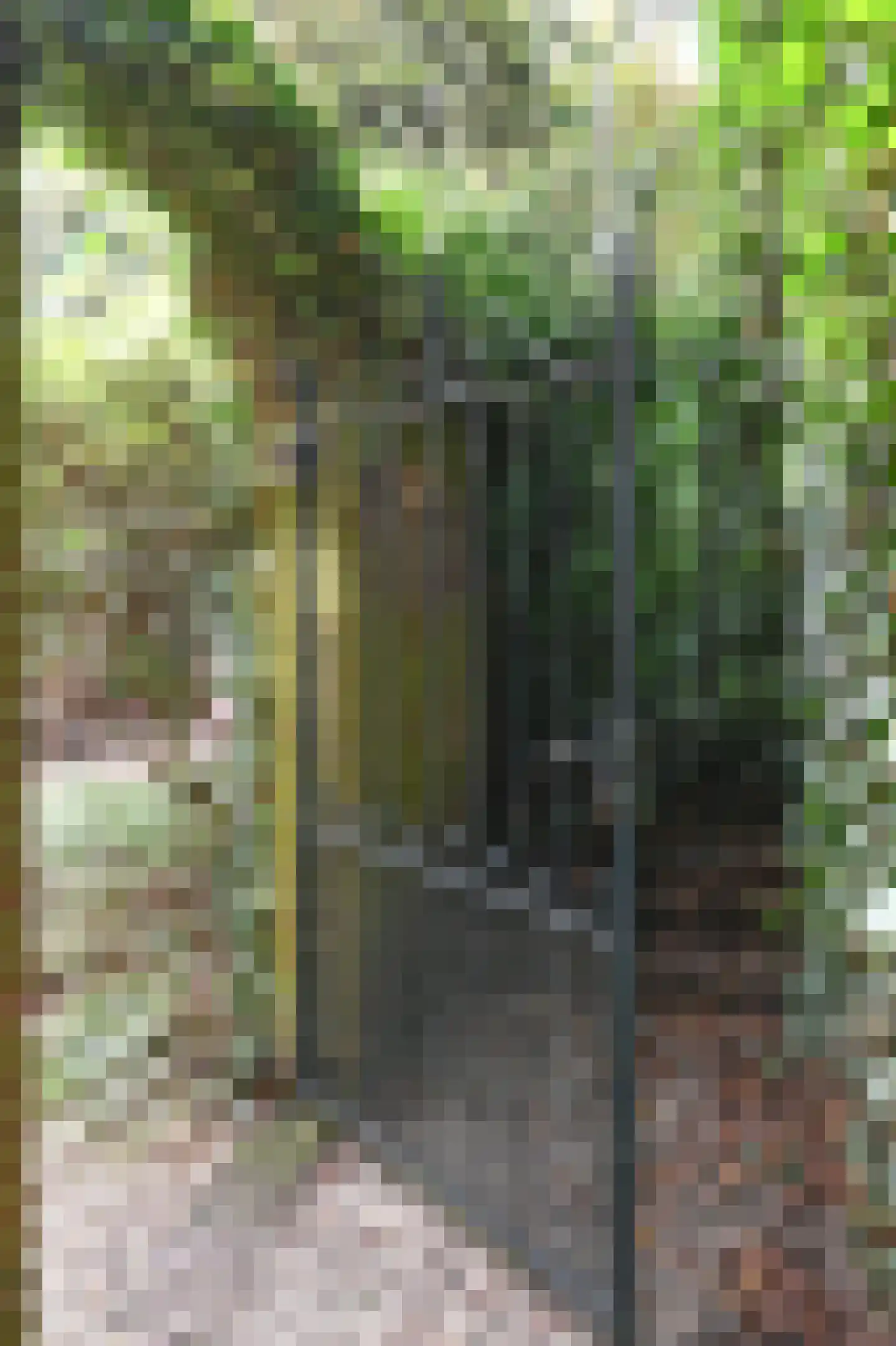 Heuvellaan 8 A Bussum thumbnail 32