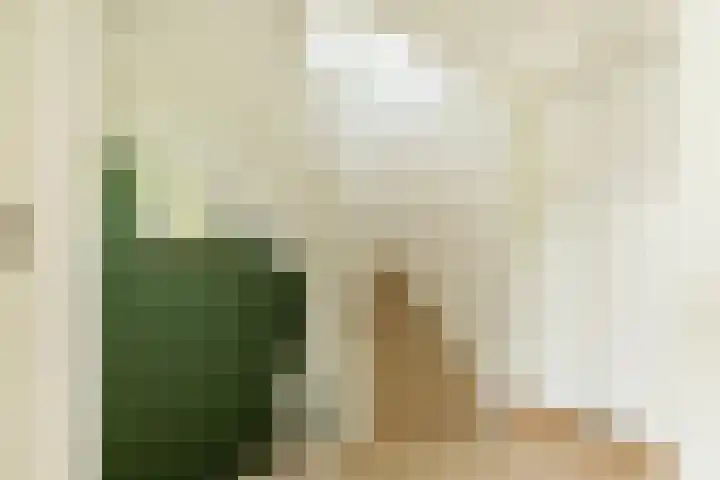 Heuvellaan 8 Bussum thumbnail 17