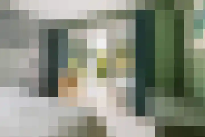 Heuvellaan 8 Bussum thumbnail 19