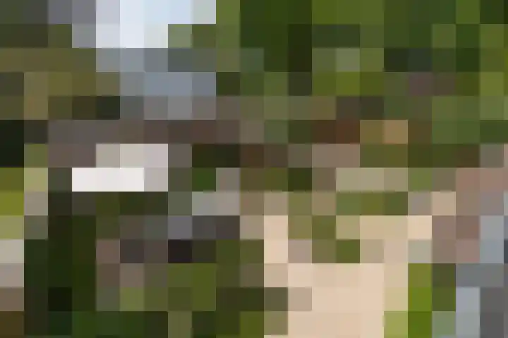 Heuvellaan 8 Bussum thumbnail 20