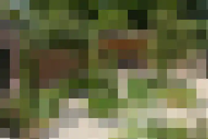 Heuvellaan 8 Bussum thumbnail 34