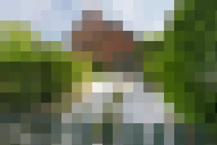 Heuvellaan 8 Bussum thumbnail 36