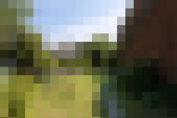 Heuvellaan 8 Bussum thumbnail 37