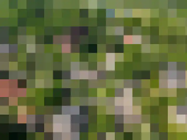 Heuvellaan 8 Bussum thumbnail 38