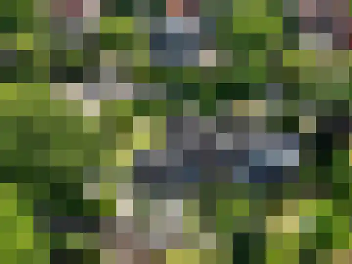 Heuvellaan 8 Bussum thumbnail 39