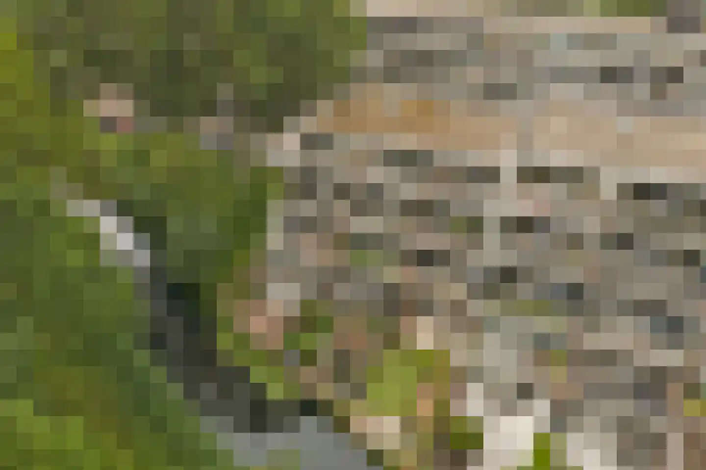 Heuvellaan 84 Gouda thumbnail 32
