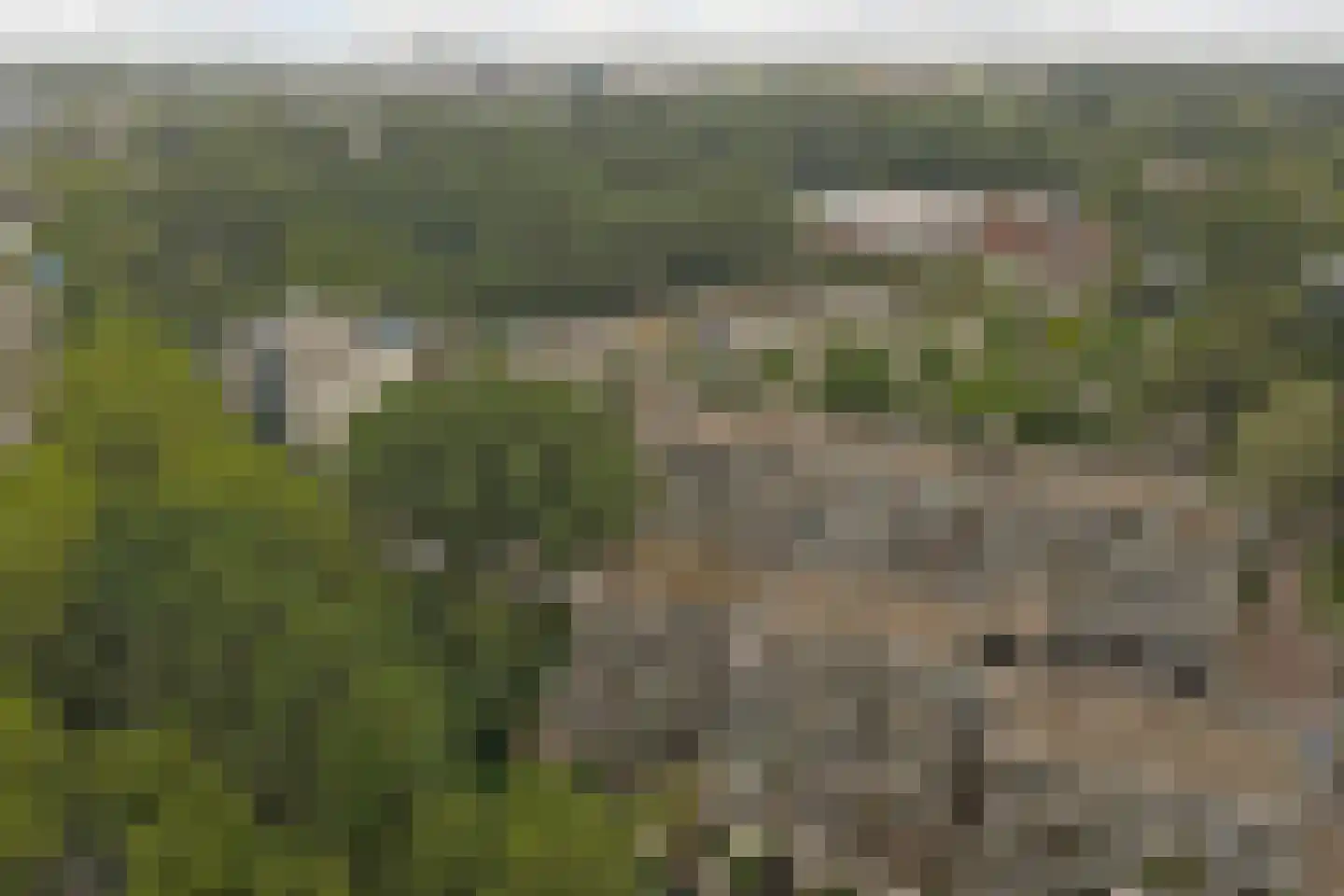 Heuvellaan 84 Gouda thumbnail 33