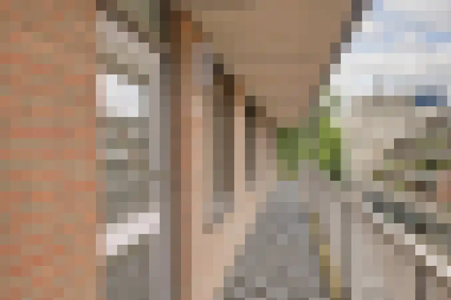 Heuvellaan 84 Gouda thumbnail 6