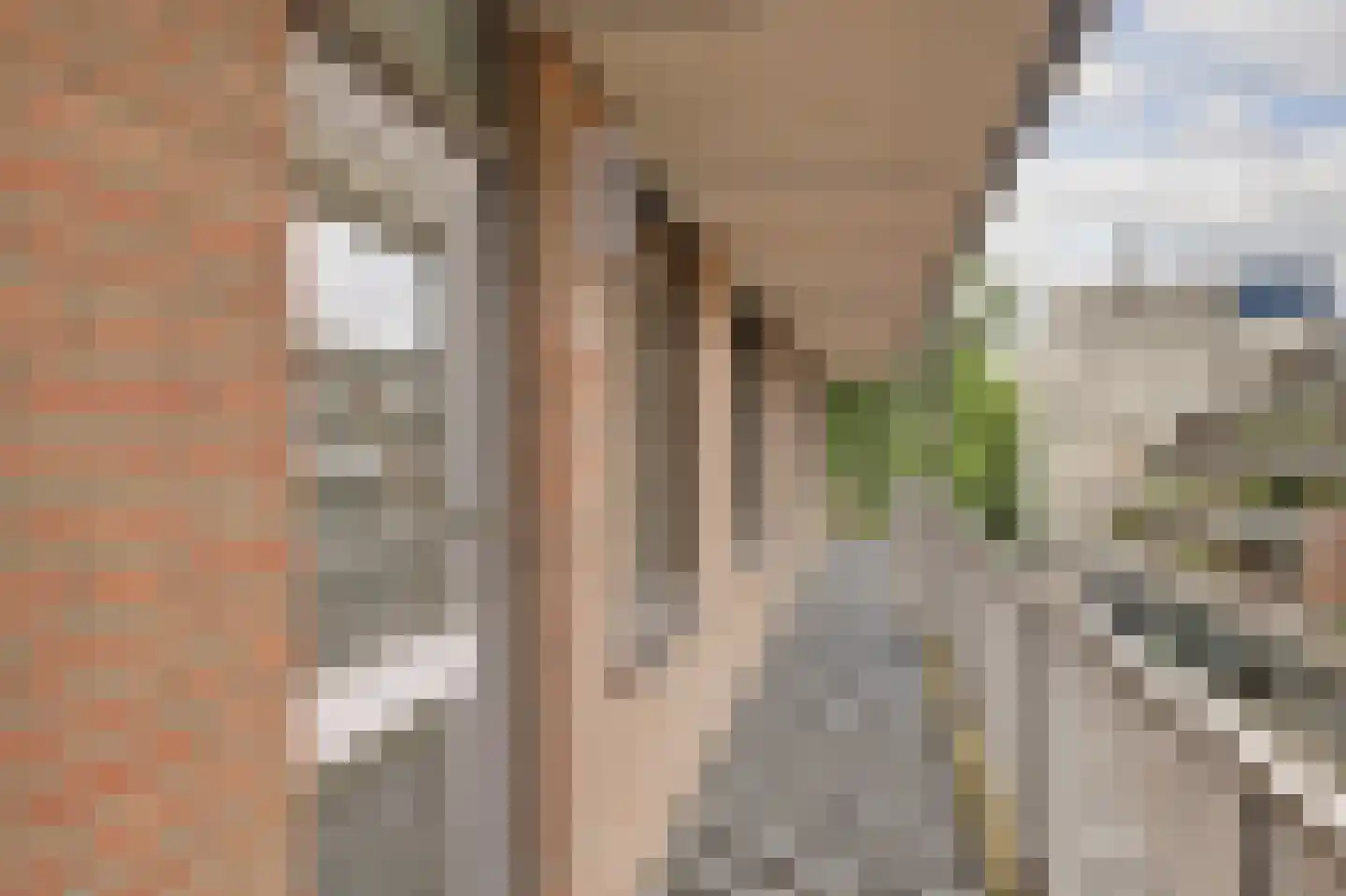 Heuvellaan 84 Gouda thumbnail 6