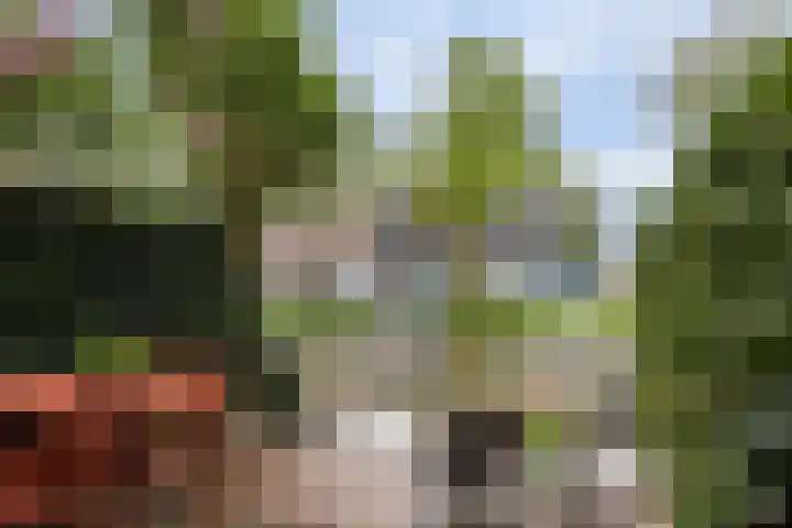Heuveloord 21 Utrecht thumbnail 13