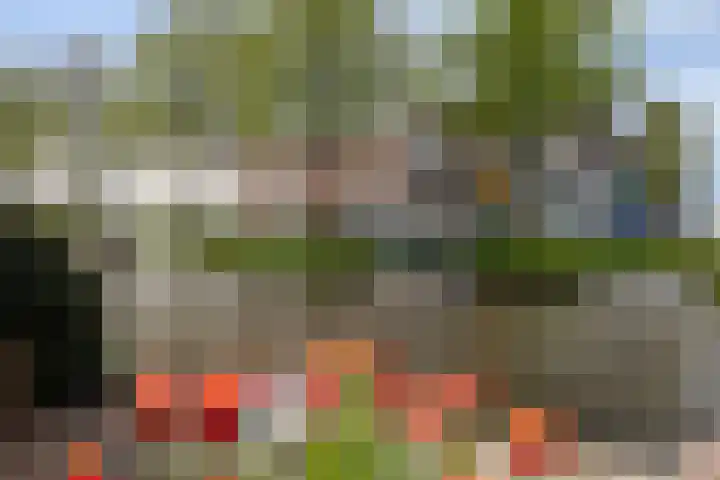 Heuveloord 21 Utrecht thumbnail 14