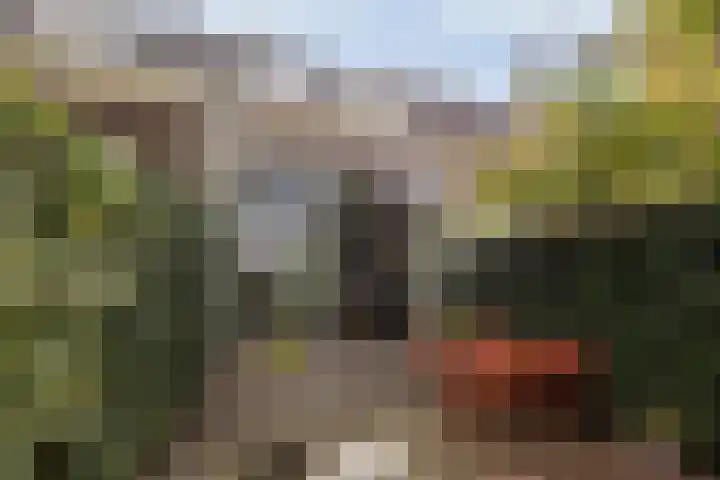 Heuveloord 21 Utrecht thumbnail 15