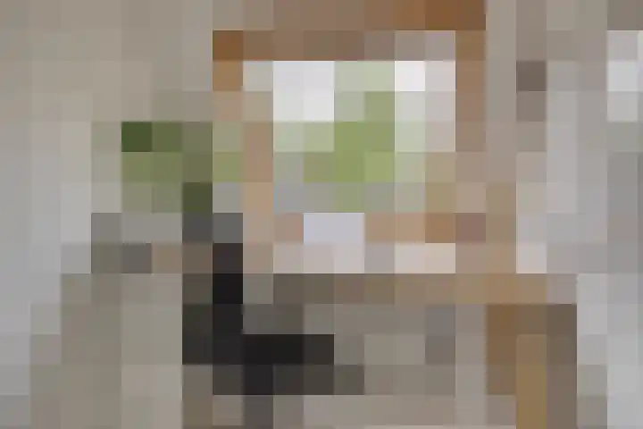 Heuveloord 21 Utrecht thumbnail 18