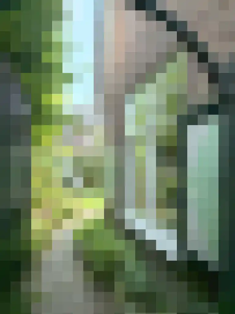 Heuveloordweg 10 Oosterbeek thumbnail 19