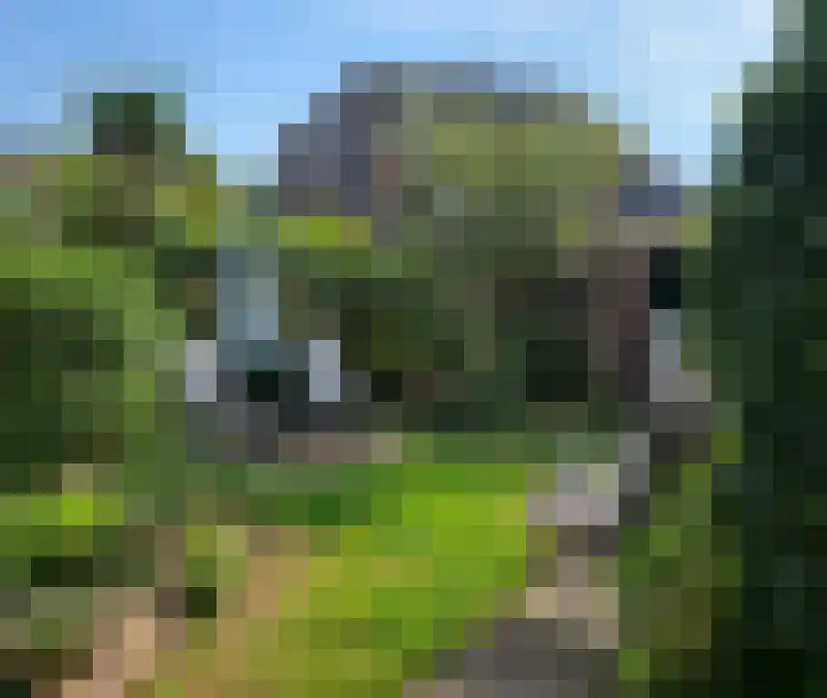 Heuveloordweg 10 Oosterbeek thumbnail 20