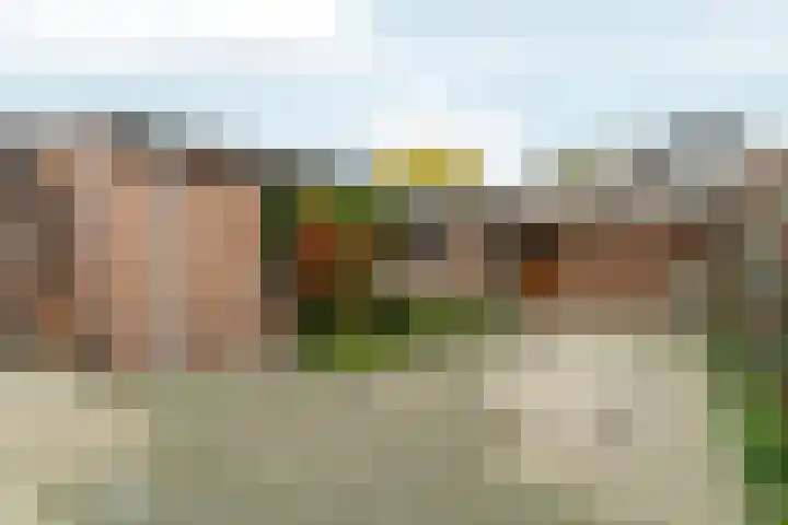 Heuveloordweg 2 Oosterbeek thumbnail 16
