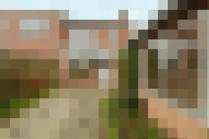 Heuveloordweg 2 Oosterbeek thumbnail 38