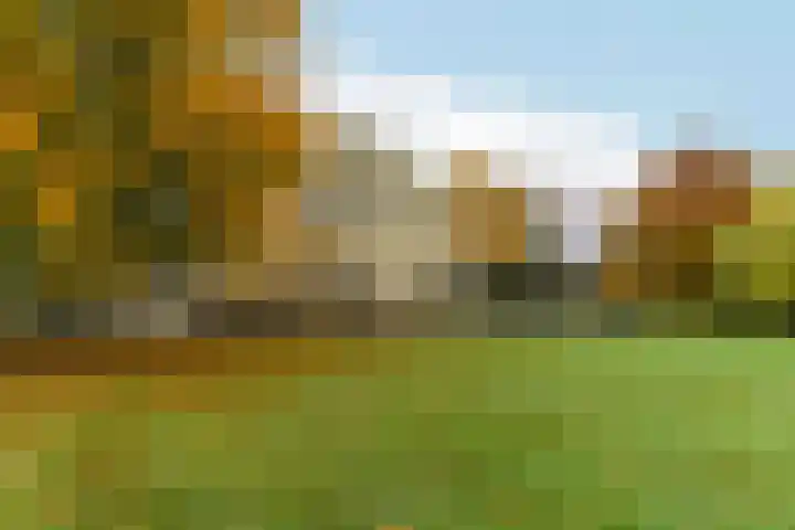Heuveloordweg 2 Oosterbeek thumbnail 41