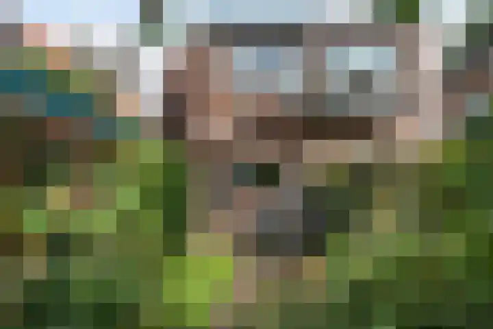 Heuveloordweg 7 Oosterbeek thumbnail 38