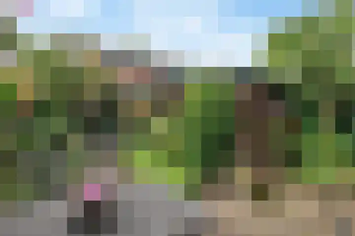 Heuveloordweg 7 Oosterbeek thumbnail 39