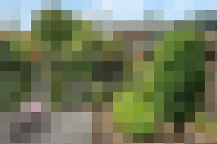 Heuveloordweg 7 Oosterbeek thumbnail 40