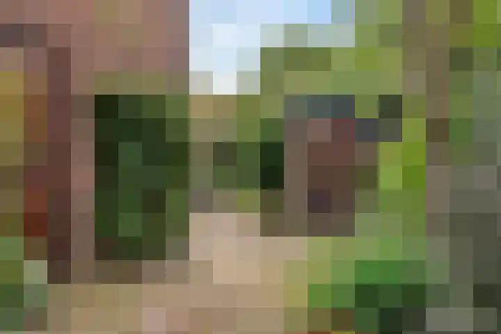 Heuveloordweg 7 Oosterbeek thumbnail 41