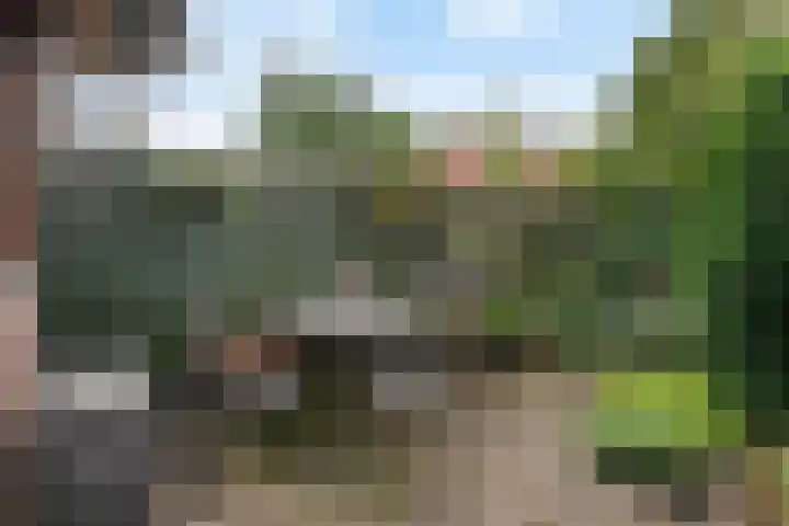 Heuveloordweg 7 Oosterbeek thumbnail 47