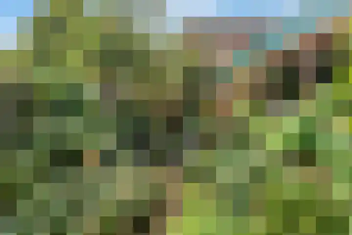 Heuveloordweg 7 Oosterbeek thumbnail 50