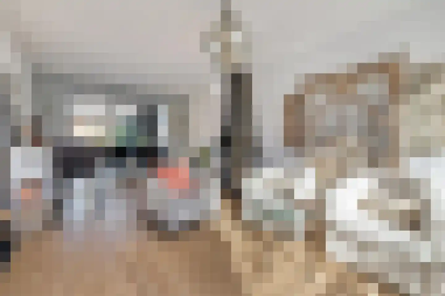 Heuvelplein 258 Breda thumbnail 15