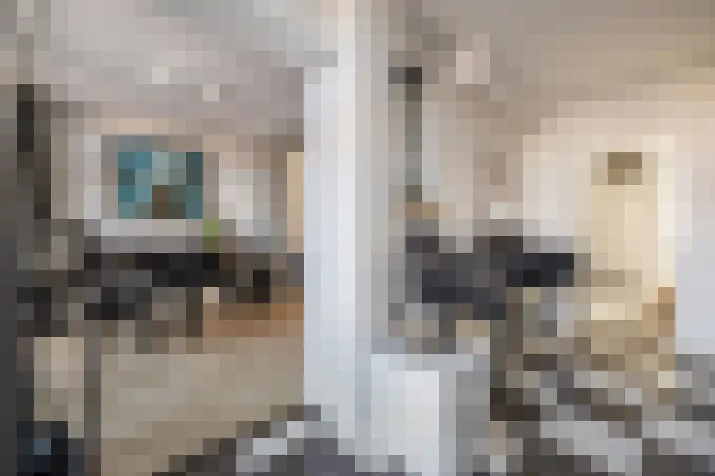 Heuvelplein 258 Breda thumbnail 28